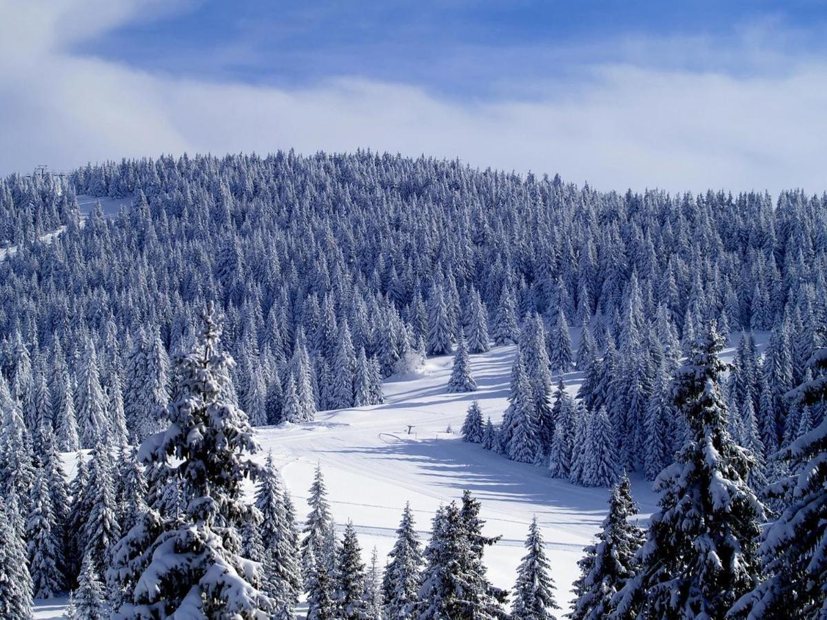As Lux Apartmani Kopaonik Luaran gambar